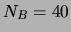 $N_B = 40$