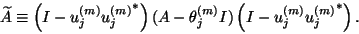 \begin{displaymath}\widetilde{A}\equiv
\left(I-{u}_j^{(m)}{{u}_j^{(m)}}^\ast\rig...
...\theta_j^{(m)} I)
\left(I-{u}_j^{(m)}{{u}_j^{(m)}}^\ast\right).\end{displaymath}