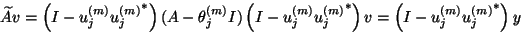 \begin{displaymath}
\widetilde{A}v =
\left(I-{u}_j^{(m)}{{u}_j^{(m)}}^\ast\right...
...\right){v}
=
\left(I-{u}_j^{(m)}{{u}_j^{(m)}}^\ast\right){y}
\end{displaymath}