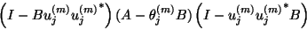 \begin{displaymath}\left( I - B{u}_j^{(m)} {{u}_j^{(m)}}^\ast \right)
(A-\theta_j^{(m)} B)
\left( I - {u}_j^{(m)} {{u}_j^{(m)}}^\ast B \right)
\end{displaymath}