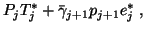 $\displaystyle P_{j}T_{j}^{\ast} + \bar{\gamma}_{j+1} p_{j+1} e_j^{\ast} \;,$