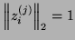 $\left\Vert z_i^{(j)}\right\Vert _2 = 1$