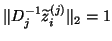 $\Vert D_j^{-1} \tilde{z}_i^{(j)}\Vert _2 = 1$