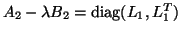 $A_2 - \lambda B_2 = {\rm diag}(L_1, L_1^T)$