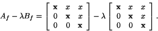 \begin{displaymath}
A_{f} - \lambda B_{f} =
\bmat{ccc}
{\bf x}& x & x \\
0 & ...
...{\bf x}& x & x \\
0 & {\bf x}& x \\
0 & 0 & {\bf x}
\emat.
\end{displaymath}