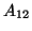 $A_{12}$