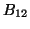 $B_{12}$